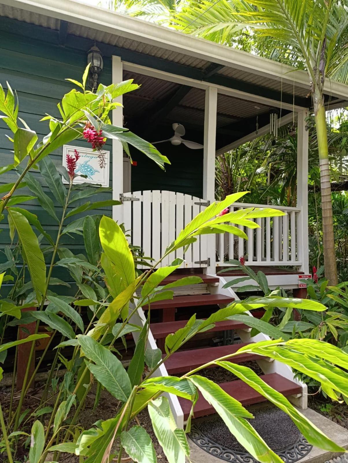 Santuarios Del Mar Apartamento Bocas del Toro